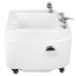 Bath basin foot bath pedicure spa lazio