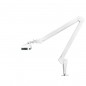 Lampe d'atelier LED elegante 801-TL avec étau intensité et couleur de la lumière blanche