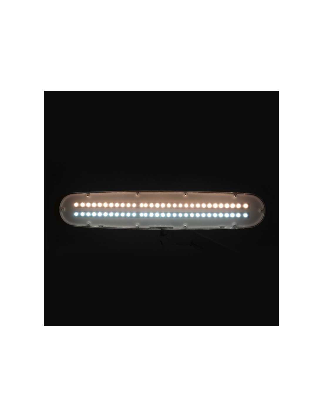 Elegant LED workshop lamp 801-TL with clamp intensity and white light color