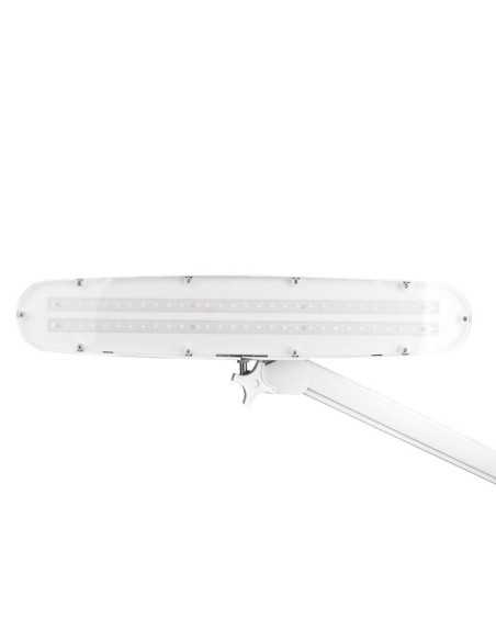 Lâmpada de oficina LED elegante 801-TL com morsa, intensidade e cor da luz branca ajustáveis