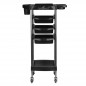 Coloring and storage hairdressing trolley-125869