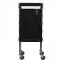 Coloring and storage hairdressing trolley-125874 