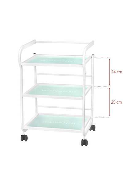 Table cosmétique type 1013 giovanni 