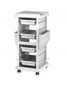 Coloring and storage hairdressing trolley-104123 