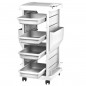 Coloring and storage hairdressing trolley-104123
