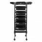 Coloring and storage hairdressing trolley-125870
