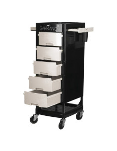 Coloring and storage hairdressing trolley-125871