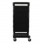 Coloring and storage hairdressing trolley-125871