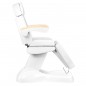 Cosmetic electric chair. luxury white