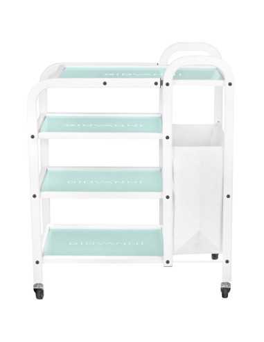 Cosmetic table type 1031 giovanni