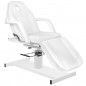 210d white hydraulic beauty chair