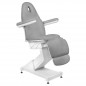 Chaise électrique cosmétique base 158 3 mot. gris