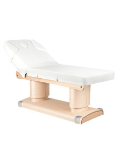 Massagetisch 123557 HEIZBEHEIZTER QAUS-ELEKTRISCHER SPA-TISCH