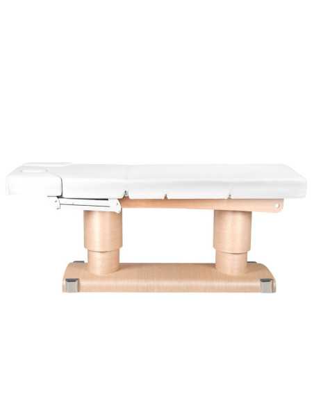 Massage Table 123557 ELECTRIC SPA TABLE QAUS HEATED HOT