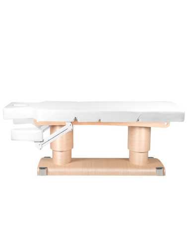 Table de Massage 123557 TABLE DE SPA ÉLECTRIQUE QAUS CHAUFFÉ CHAUD