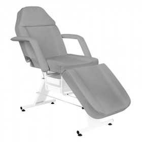 Table de Massage 123760 FAUTEUIL D'ESTHÉTIQUE BASIC GRIS 202