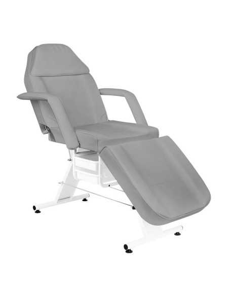 Table de Massage 123760 FAUTEUIL D'ESTHÉTIQUE BASIC GRIS 202