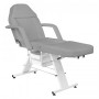 Table de Massage 123760 FAUTEUIL D'ESTHÉTIQUE BASIC GRIS 202