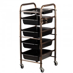 Coloring and storage hairdressing trolley-123792 