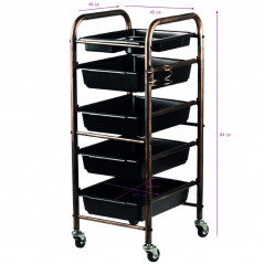 Coloring and storage hairdressing trolley-123792 