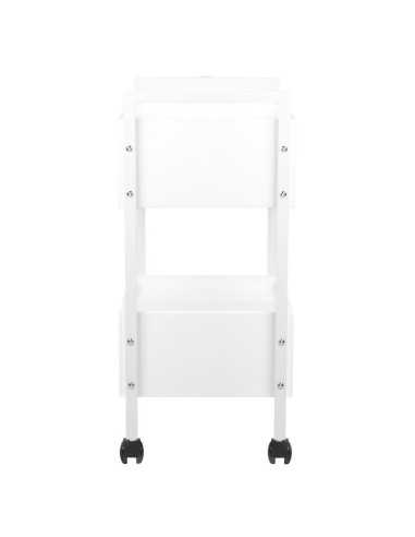 Cosmetic table type 1019