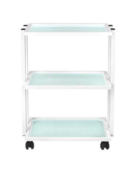 Tableau cosmetique type 1041 giovanni 
