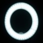 Anello luminoso 10" 8w led bianco ad anello