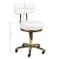 COSMETIC STOOL GOLD AM-961 WHITE