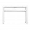 23W WHITE COSMETIC DESK WITH MOMO S41 LUX ABSORBER 