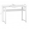 22W WHITE COSMETIC DESK WITH MOMO S41 ABSORBER 