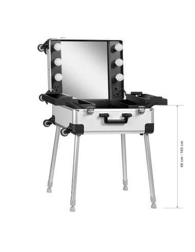 Valise trolley avec miroir et ampoules t-27 argent