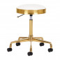 COSMETIC STOOL H7 GOLDEN WHITE