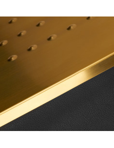 Autolavaggio Gabbiano Diana oro nero  2