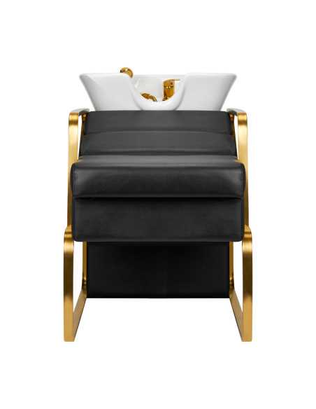 Autolavaggio Gabbiano Diana oro nero 