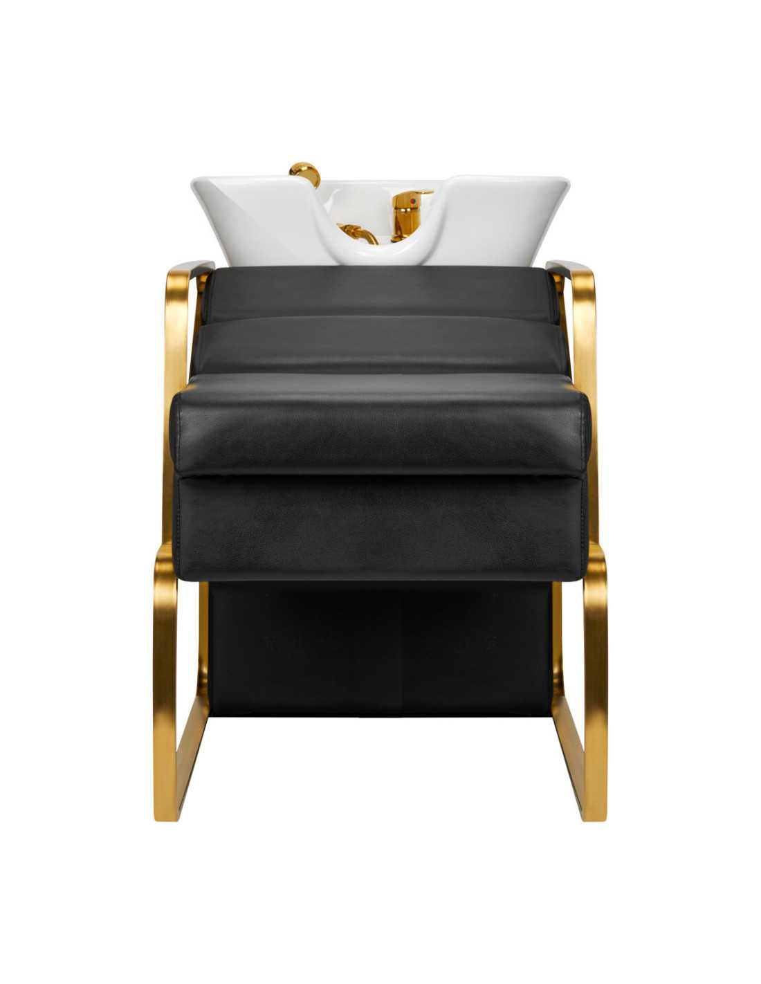 Lavado de coches Gabbiano Diana Black Gold