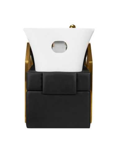 Lavado de coches Gabbiano Diana Black Gold