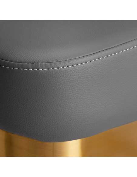 Chaise de coiffure Gabbiano Granada gris or 