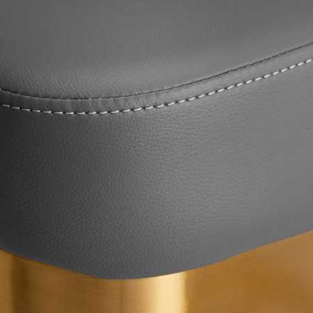 Gabbiano hairdressing chair Granada gold gray 