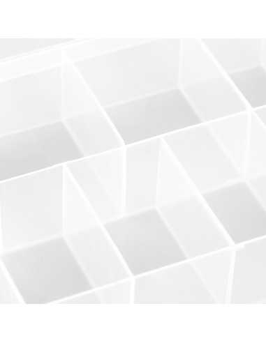 C50 Kleiner Produkt-Organizer-Behälter
