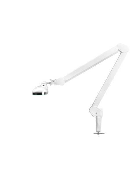 Lampe d'atelier LED Elegante 801-s avec étau standard blanc
