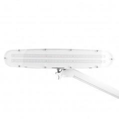 Lampada da officina a LED Elegante 801-s con morsa standard bianca