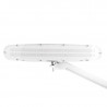 LED delavniška svetilka Elegante 801-s z belim standardnim primežem