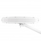 Lampe d'atelier LED Elegante 801-l avec étau réglable intensité de la lumière blanche