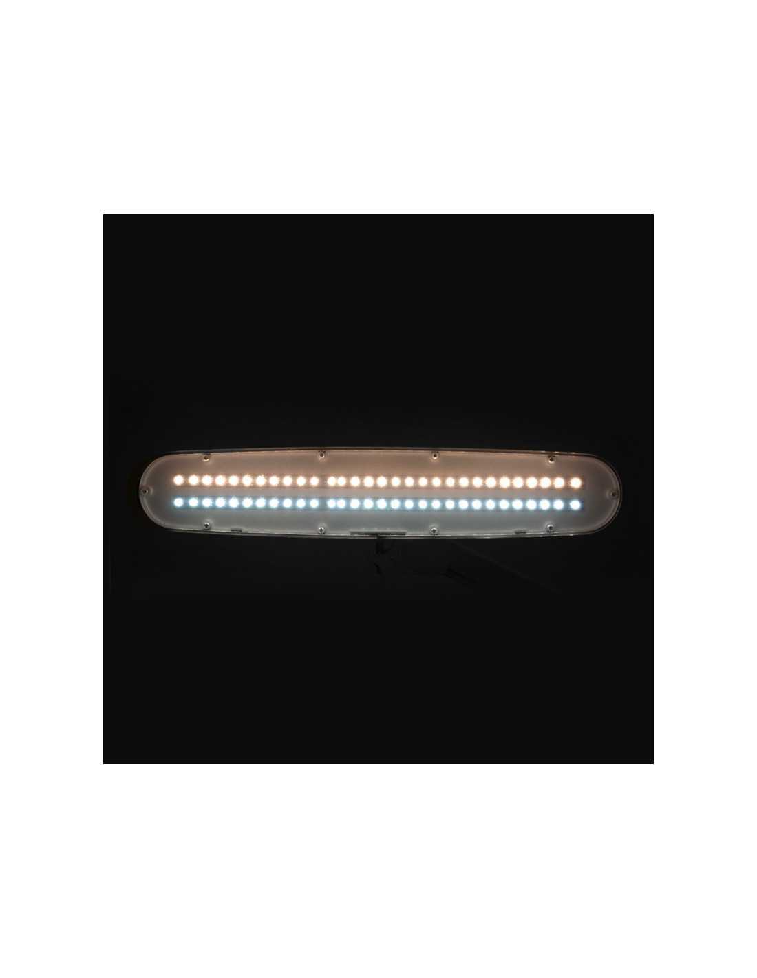 Elegant LED workshop lamp 801-TL with clamp intensity and white light color