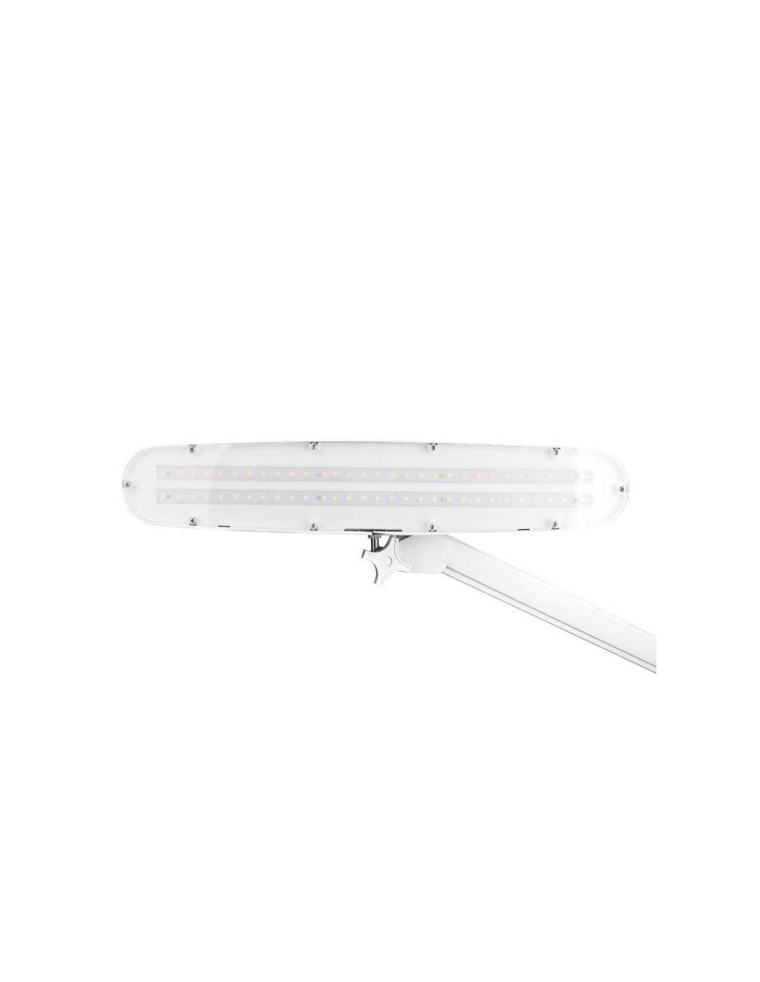 Elegant LED workshop lamp 801-TL with clamp intensity and white light color