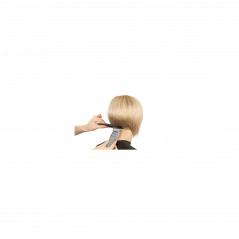 Tondeuse à cheveux professionnelle   1411-0051 MOSER PRIMAUTÉ MINI GRIS CLAIR
