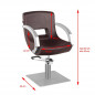 Brown Catania hairdressing chair