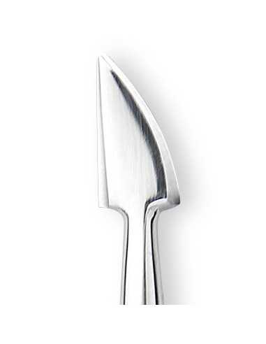 Nghia exportiert Metall-Sabot P-10 