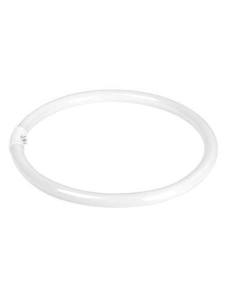 Żarówka (świetlówka) do lampy Ring 12' 35W 