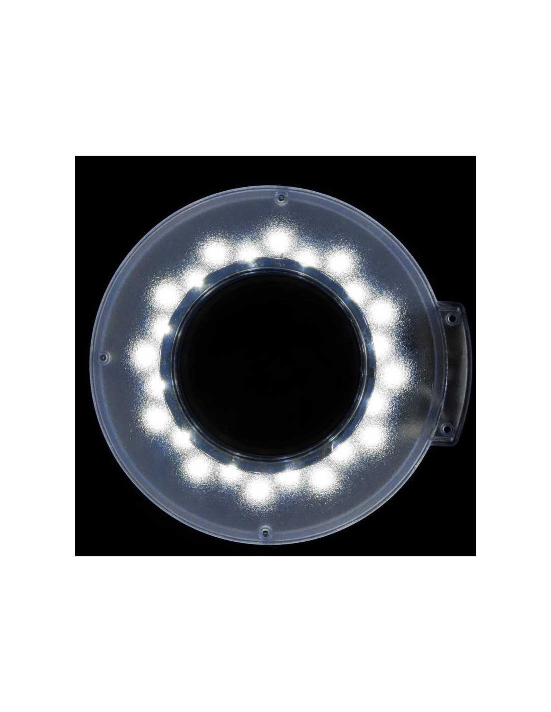 Set aus 210 Sessel + S5 LED Lupenleuchte + 302 Hocker